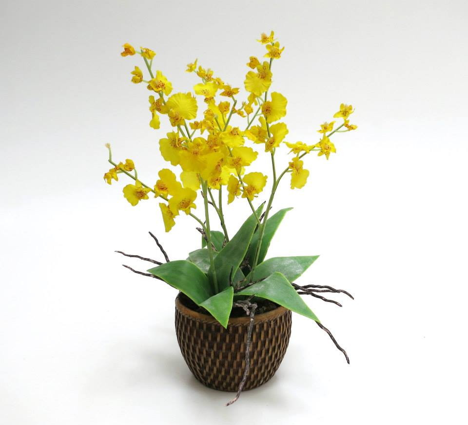 Orquídea Chuva de Ouro | Delivery Social Flores em Curitiba